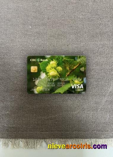 Romania CEC Bank visa classic card photolook